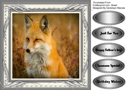 Beautiful Fox