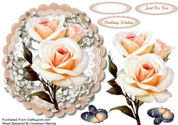 Cream Roses on a Lace Mat