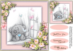 Teds Butterfly Dreams 