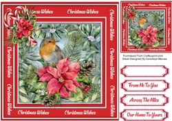 Beautiful Christmas Robin