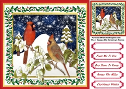 Beautiful Christmas Cardinals