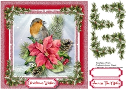 Beautiful Robin and Poinsettia