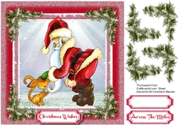 Santa and The Cat
