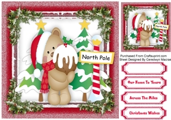 Ted at the North Pole