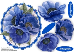 Beautiful Blue Anemones