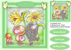 Daisy Trail