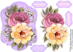 Beautiful Summer Time Roses 3