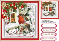 Robin on the Branch