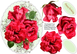 Beautiful Red Roses