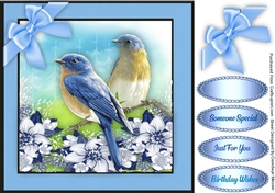 Beautiful Bluebirds and Flowers 