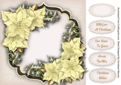 Beautiful Cream Christmas Poinsettias