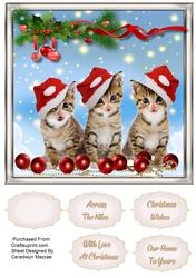 3 Little Furry Friends ,2