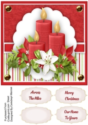 Candles and Christmas Roses