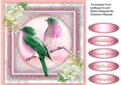 Beautiful Bird on Lace 2
