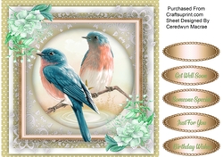 Beautiful Bird on Lace 3