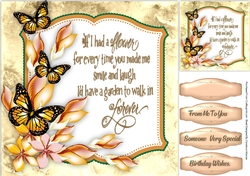Beautiful Butterflys and Verse