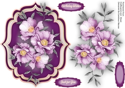 Beautiful Lilac Infushio
