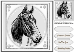 Beautiful lack Horse Sketch