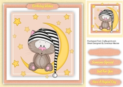 Little Bear on the Moon 