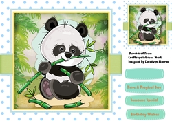 Panda Loves Bamboo