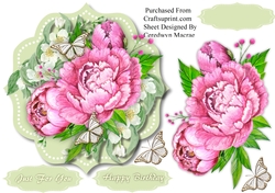 Beautiful Pink Peony Roses 