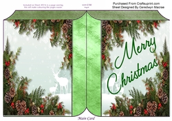 Beautiful Christmas Book , Green