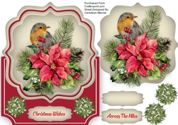 Over The Edge, Robin and Poinsettias