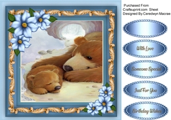 Beautiful Brown Bear and Cup