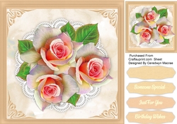Beautiful Pink Roses on lace