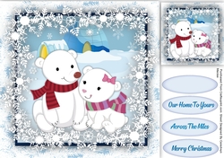 Beautiful Snow Bears