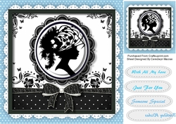 Beautiful Silhouette Lady 3