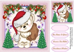 Scruffy Santa Bear