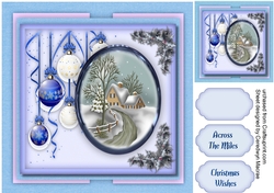 Beautiful Scene and Christmas Baubles