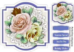 Beautiful Fragrant Summer Roses