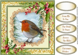 Beautiful Robin and Holly