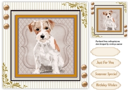Beautiful Jack Russel