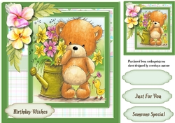 Springtime Bear
