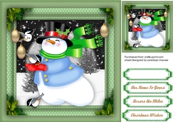 Snowman and Little Bird