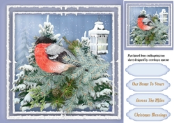 Lovely Christmas Bird 