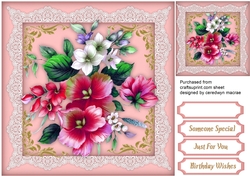 Beautiful Painted Pink Infussion