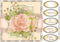 Beautiful Pale Pink Roses