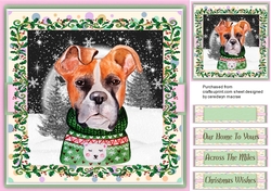 Boxers Christmas Jumper