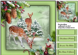 Deer in the Snow