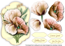 Beautiful Cream Poppy Topper