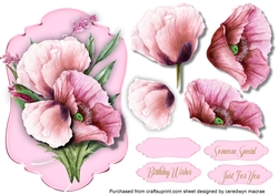 Beautiful Pink Poppy Topper