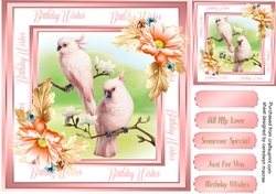 Beautiful Parrots and Daisys
