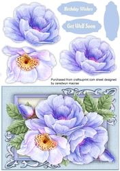 Beautiful Blue Roses