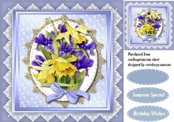 Summer Irises and Daffs