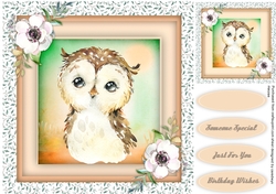 Beautiful Water coloured Owl