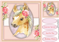 Beautiful Flower Foal